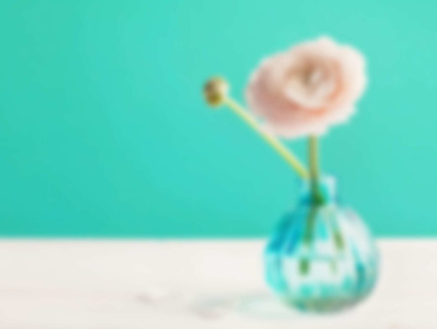 shutterstock_382054450_resize